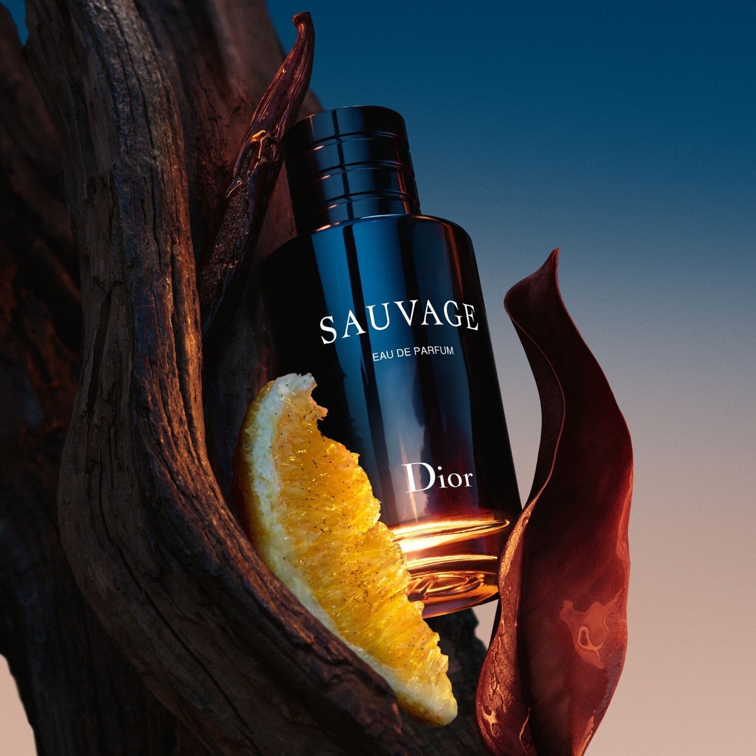 Sauvage Eau de Parfum - Dior
