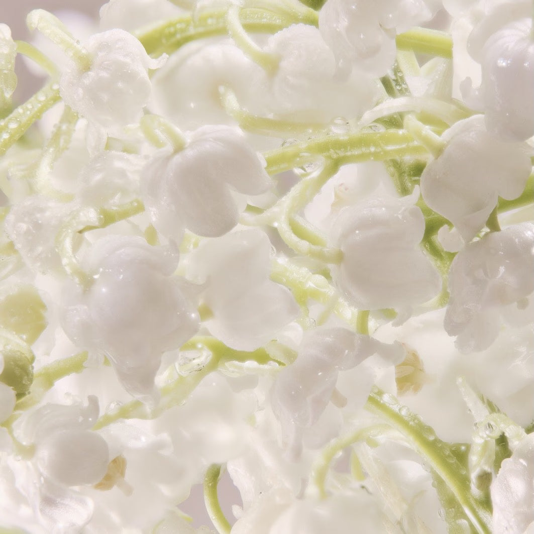 Cool Water Duo-Geschenkset - Davidoff