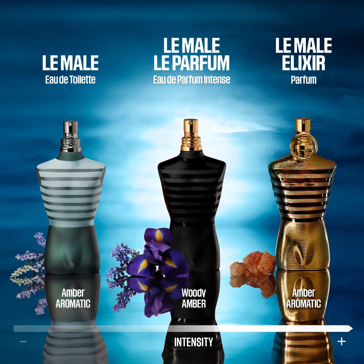 Le Male - Jean Paul Gaultier
