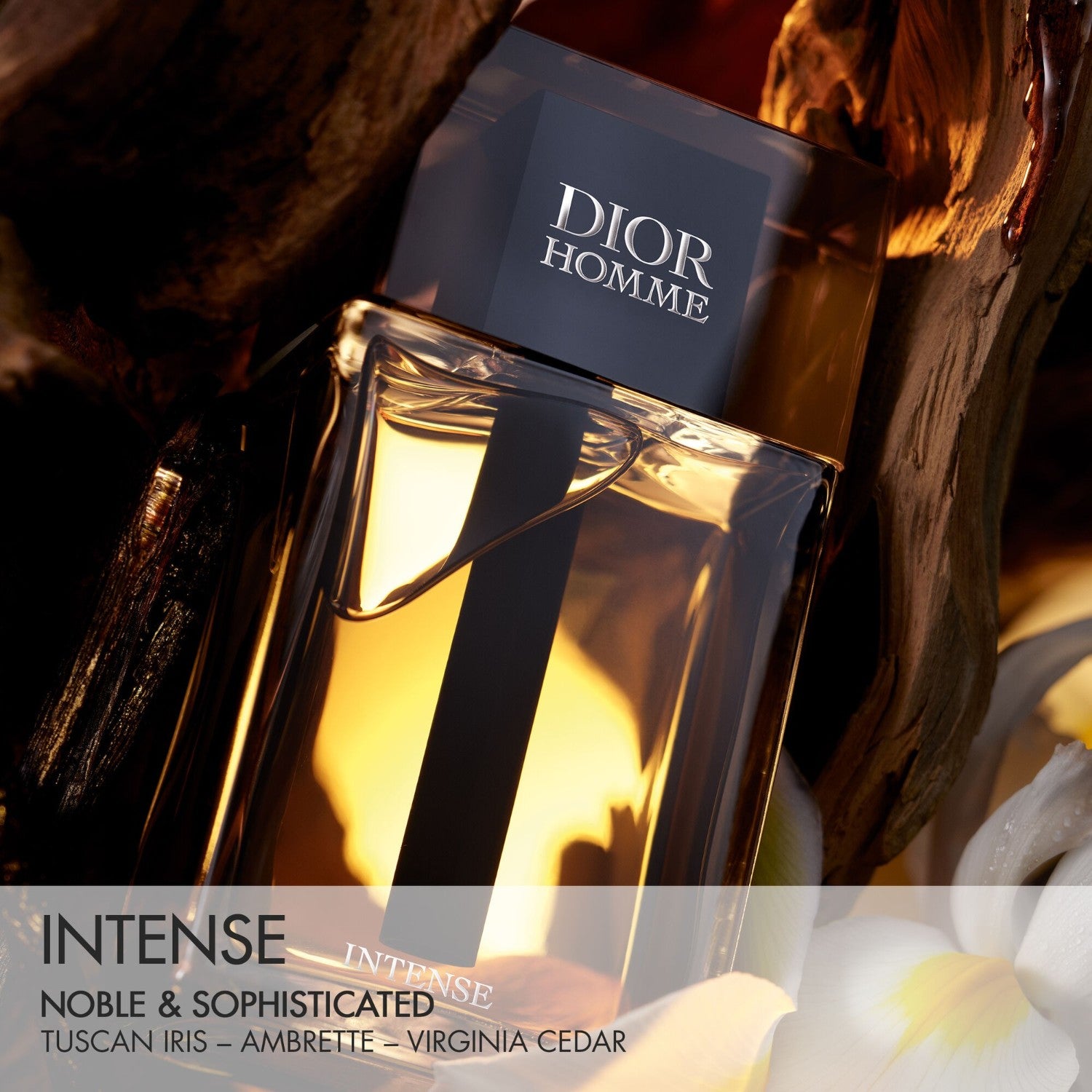 Homme Intense - Dior