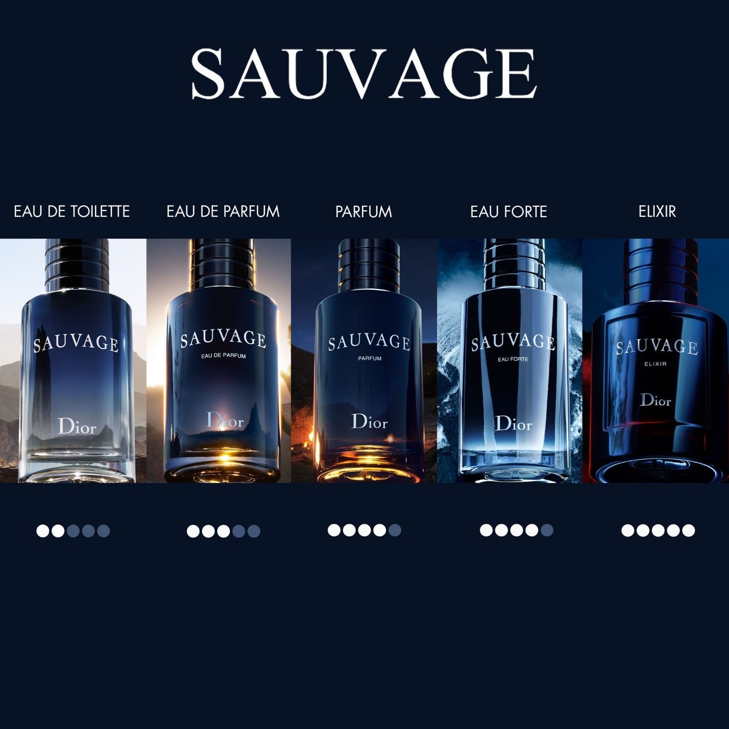 Sauvage Eau de Parfum - Dior